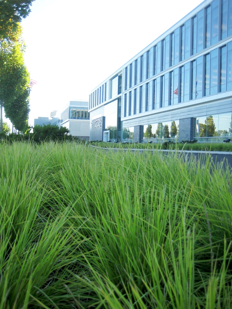 w2012 ALE: Almac North American Headquarters by Pennsylvania Landscape & Nursery Association - Photo 9