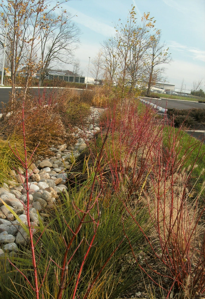 w2012 ALE: Almac North American Headquarters by Pennsylvania Landscape & Nursery Association - Photo 11