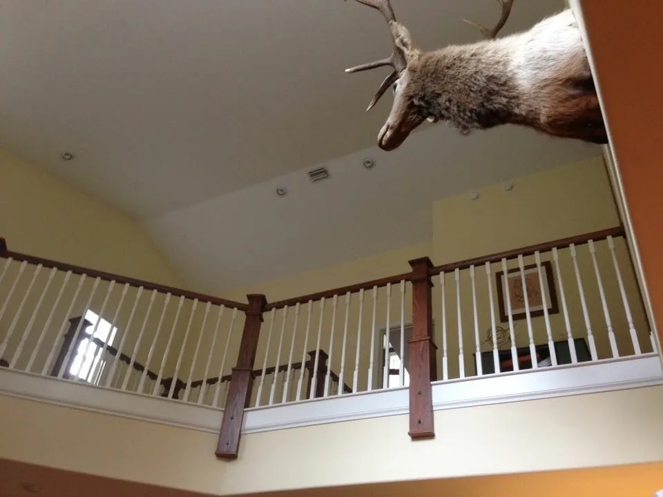 Wiley Construction Project by Chappell Contracting & Development - Photo 11