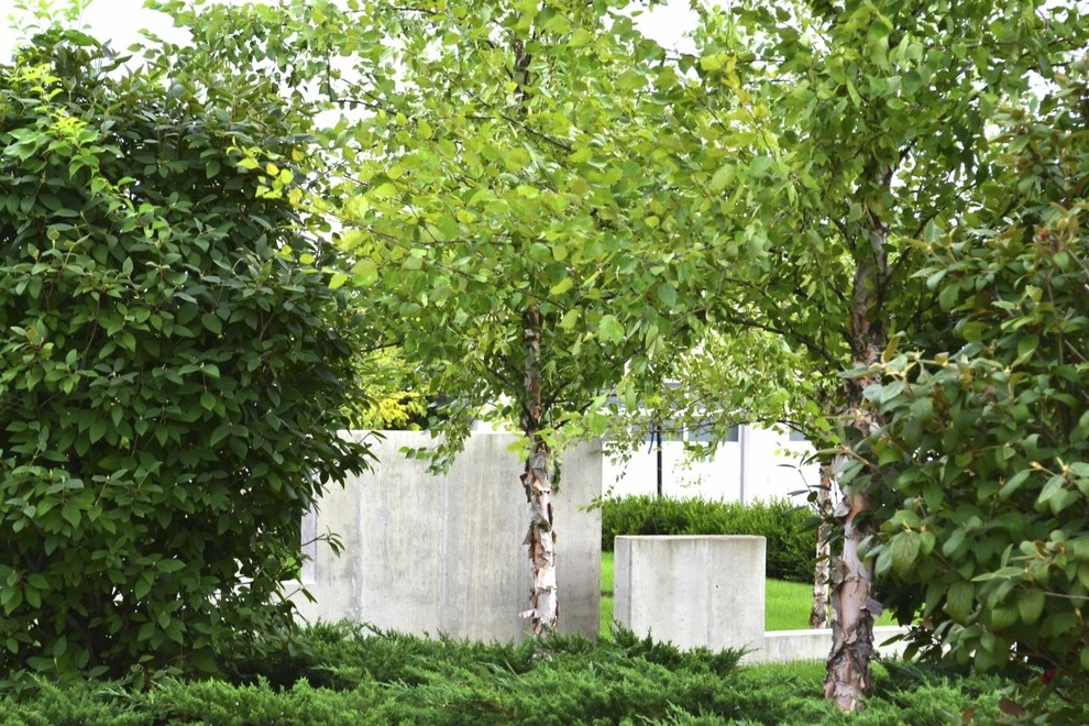 v2013 ALE: The Waverly Residence by Pennsylvania Landscape & Nursery Association - Photo 11