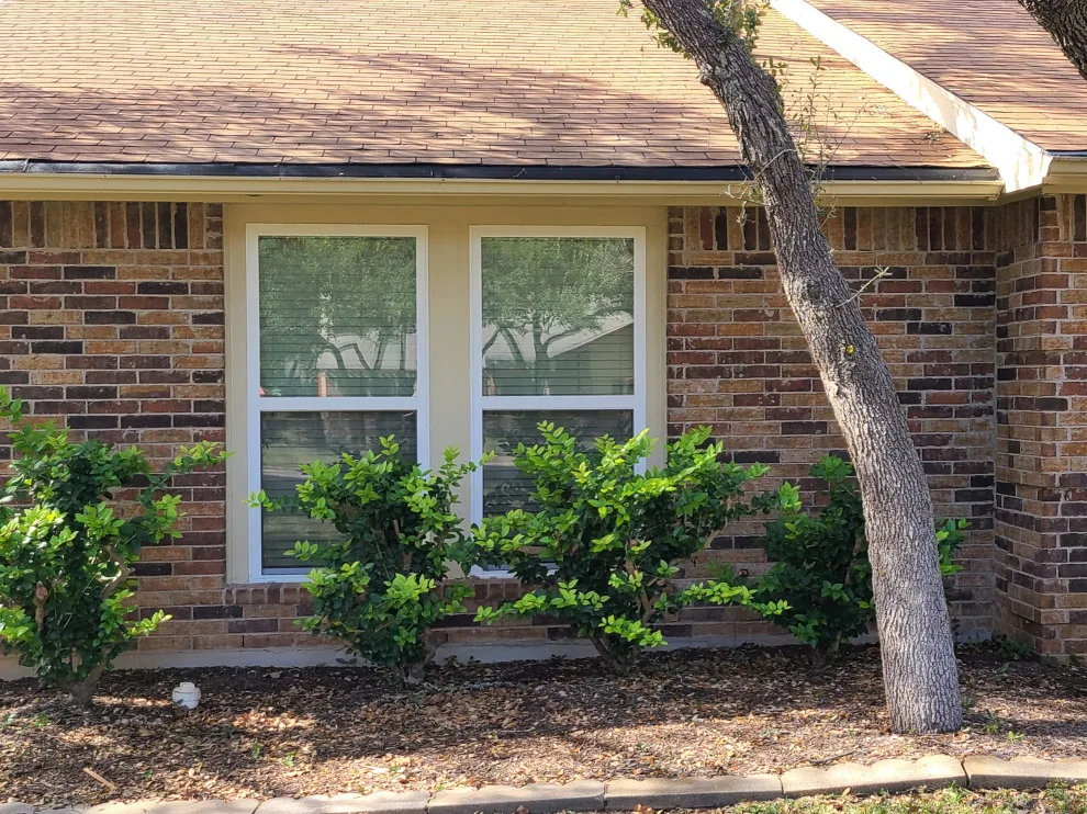North Buttercup Creek Window Replacement by Capitol City Wood Works LLC - Photo 9