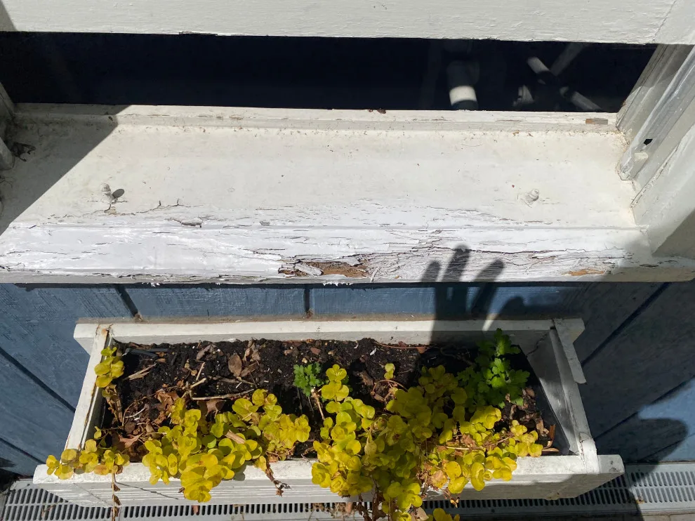 Soffit Window Repair by The Carpenters Son General Contracting L.L.C. - Photo 2