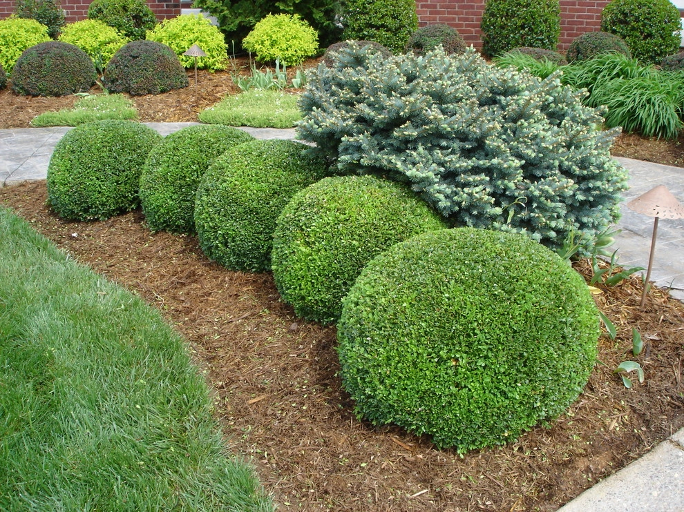 Maintenance by Perfect Earth Landscape LLC - Photo 20