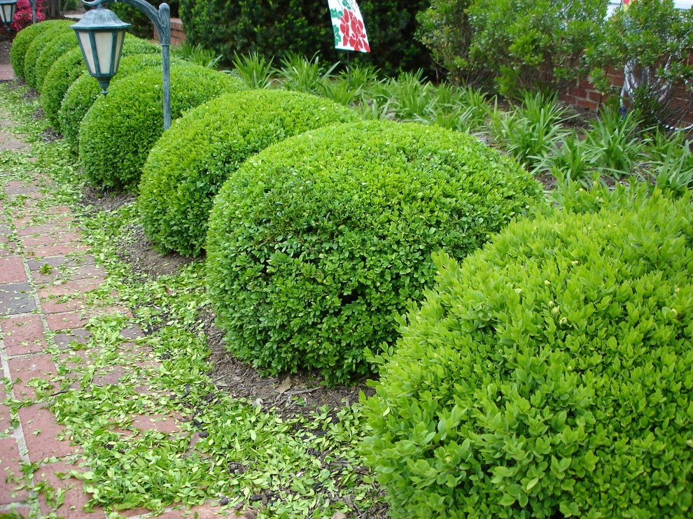 Maintenance by Perfect Earth Landscape LLC - Photo 78