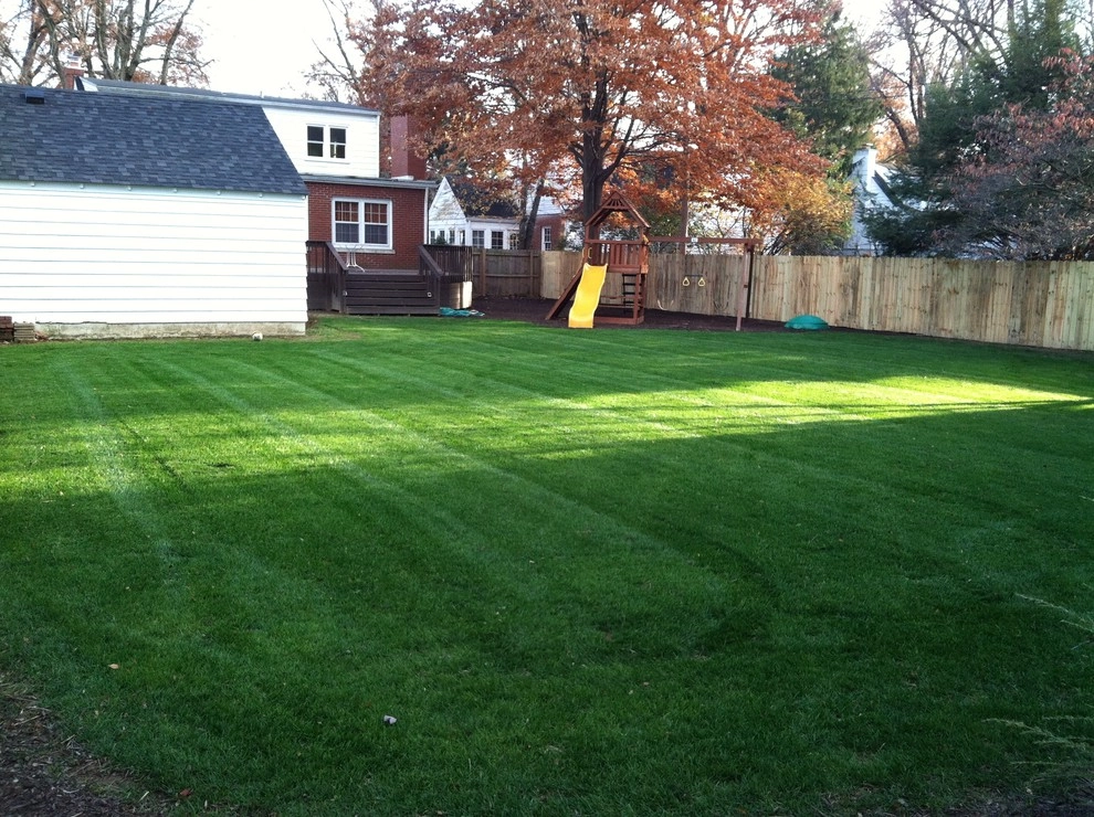 St. Matthews backyard renovation by Perfect Earth Landscape LLC - Photo 3