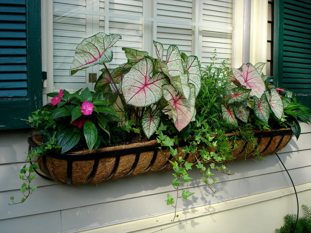 Planters and Pots by Perfect Earth Landscape LLC - Photo 34