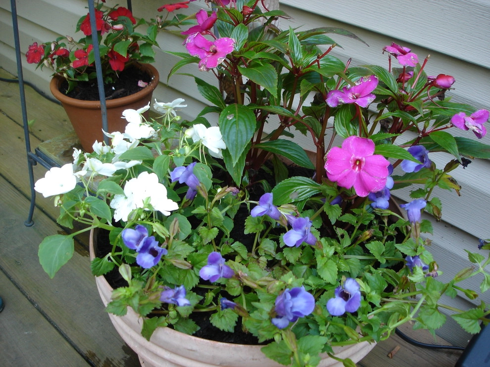 Planters and Pots by Perfect Earth Landscape LLC - Photo 2