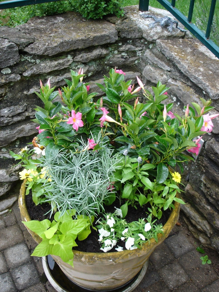 Planters and Pots by Perfect Earth Landscape LLC - Photo 10