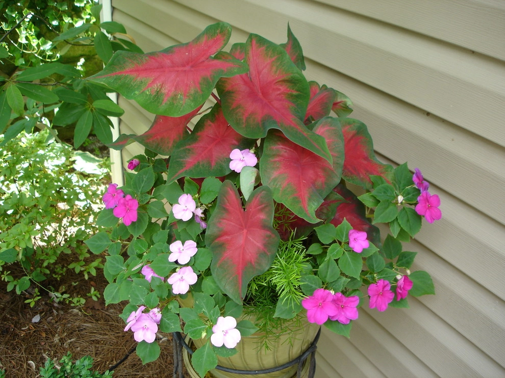 Planters and Pots by Perfect Earth Landscape LLC - Photo 27