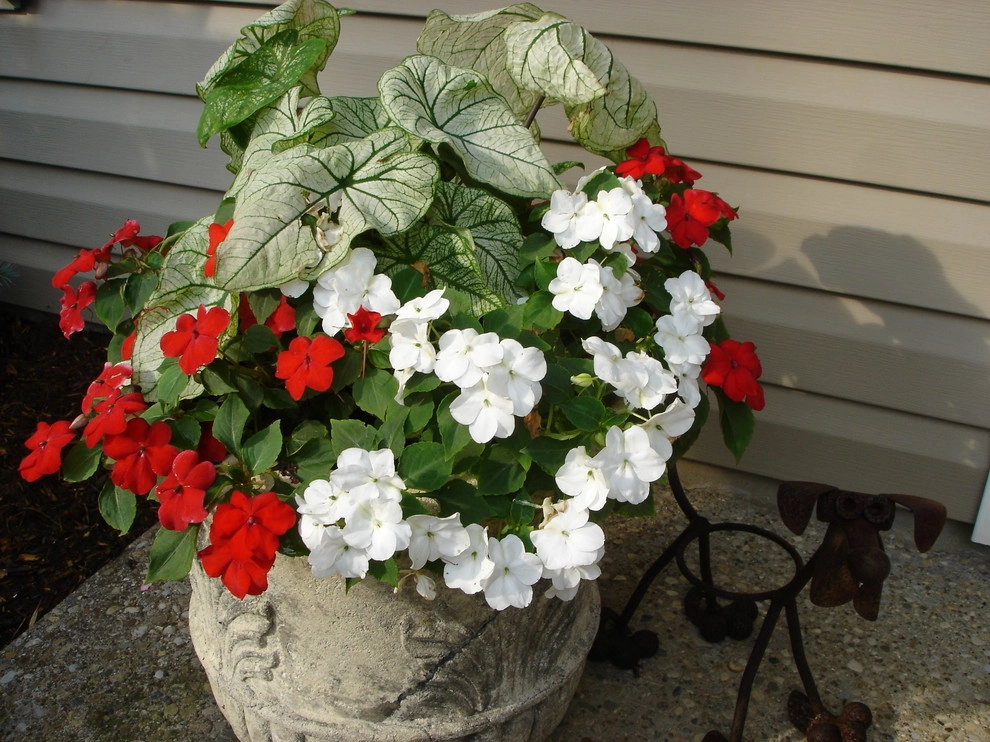 Planters and Pots by Perfect Earth Landscape LLC - Photo 46