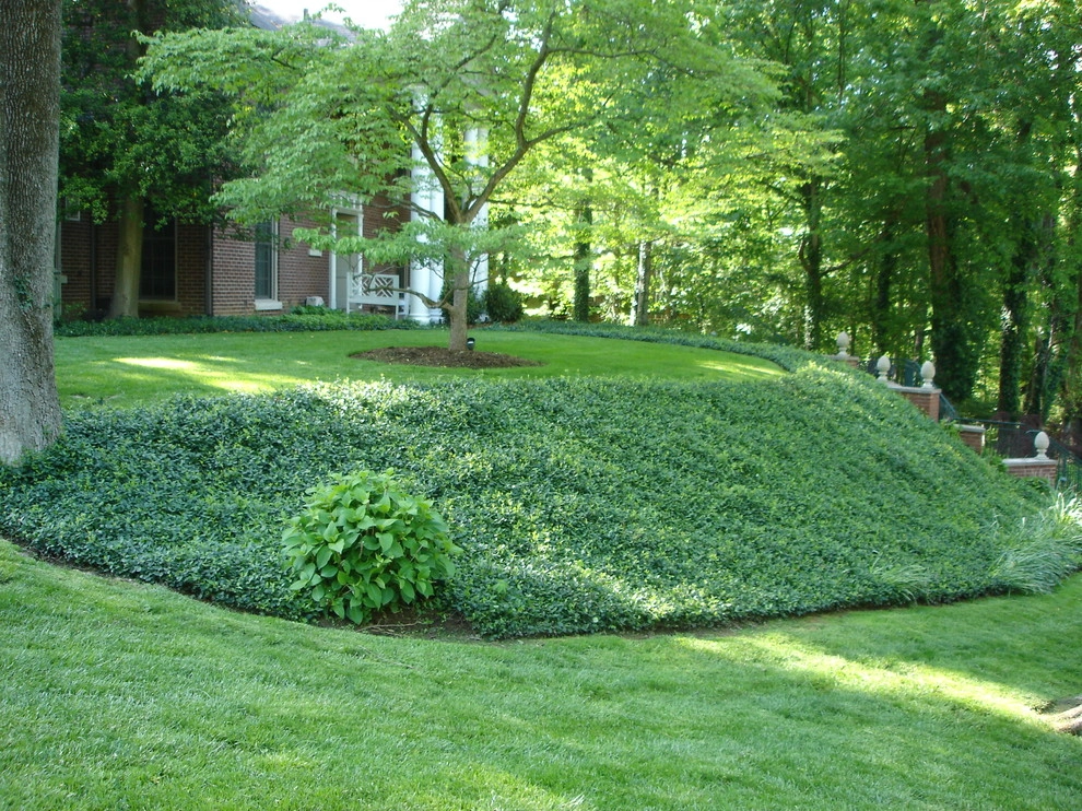 Maintenance by Perfect Earth Landscape LLC - Photo 26