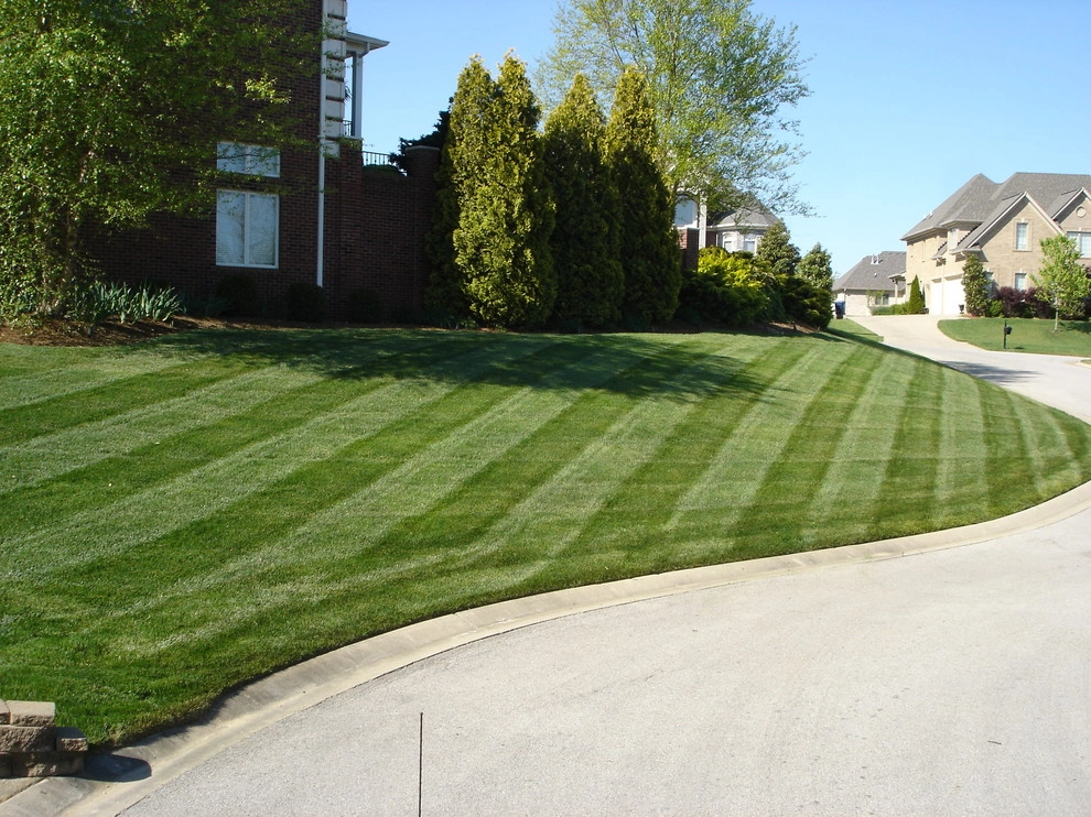 Maintenance by Perfect Earth Landscape LLC - Photo 8