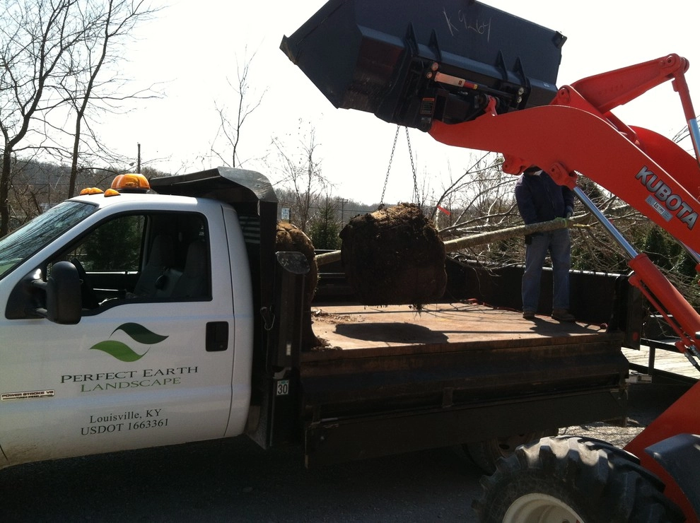 Maintenance by Perfect Earth Landscape LLC - Photo 4