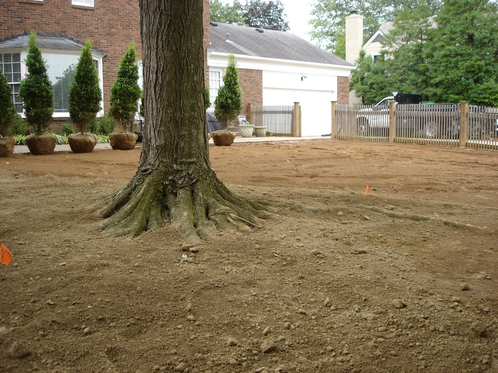 Apache Road Backyard by Perfect Earth Landscape LLC - Photo 7
