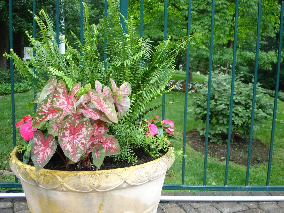 Planters and Pots by Perfect Earth Landscape LLC - Photo 14