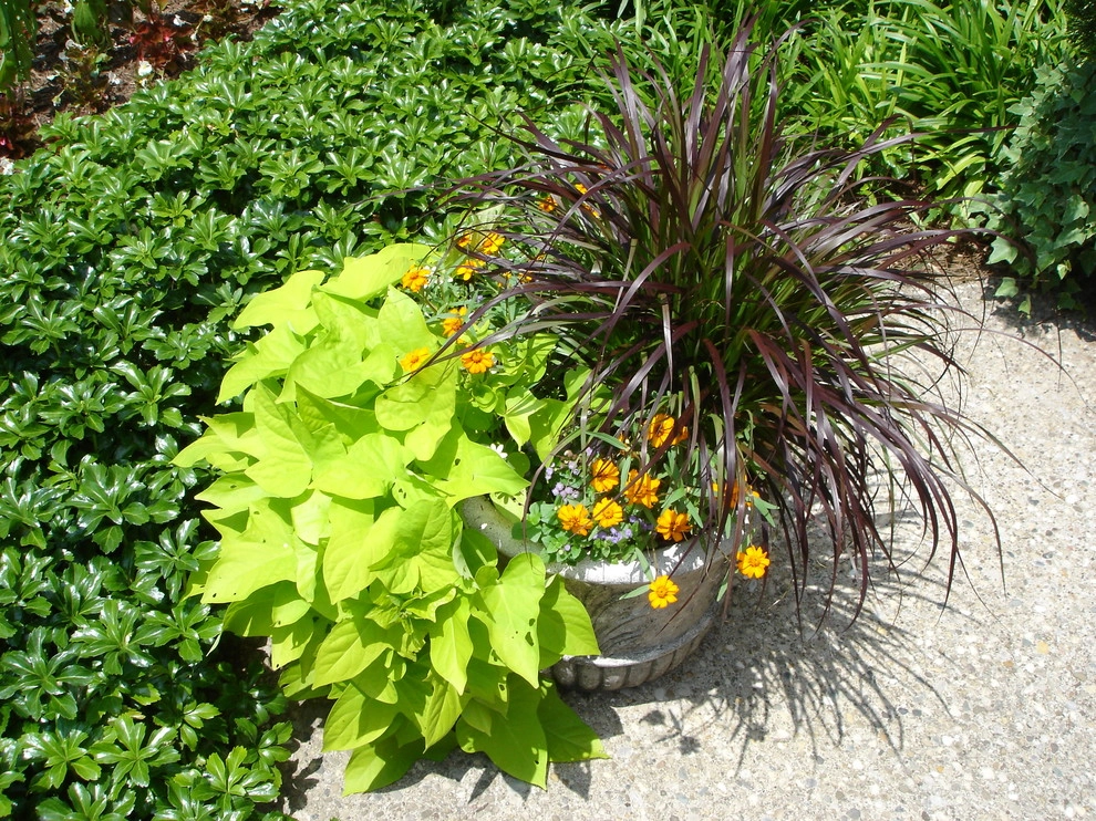 Planters and Pots by Perfect Earth Landscape LLC - Photo 11
