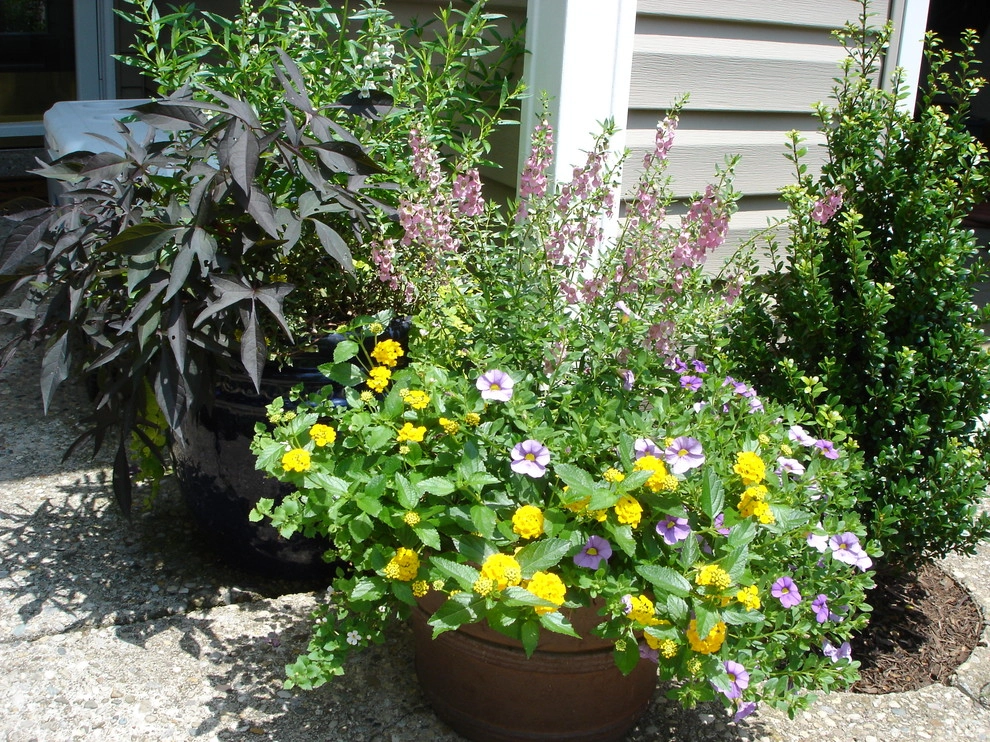 Planters and Pots by Perfect Earth Landscape LLC - Photo 6