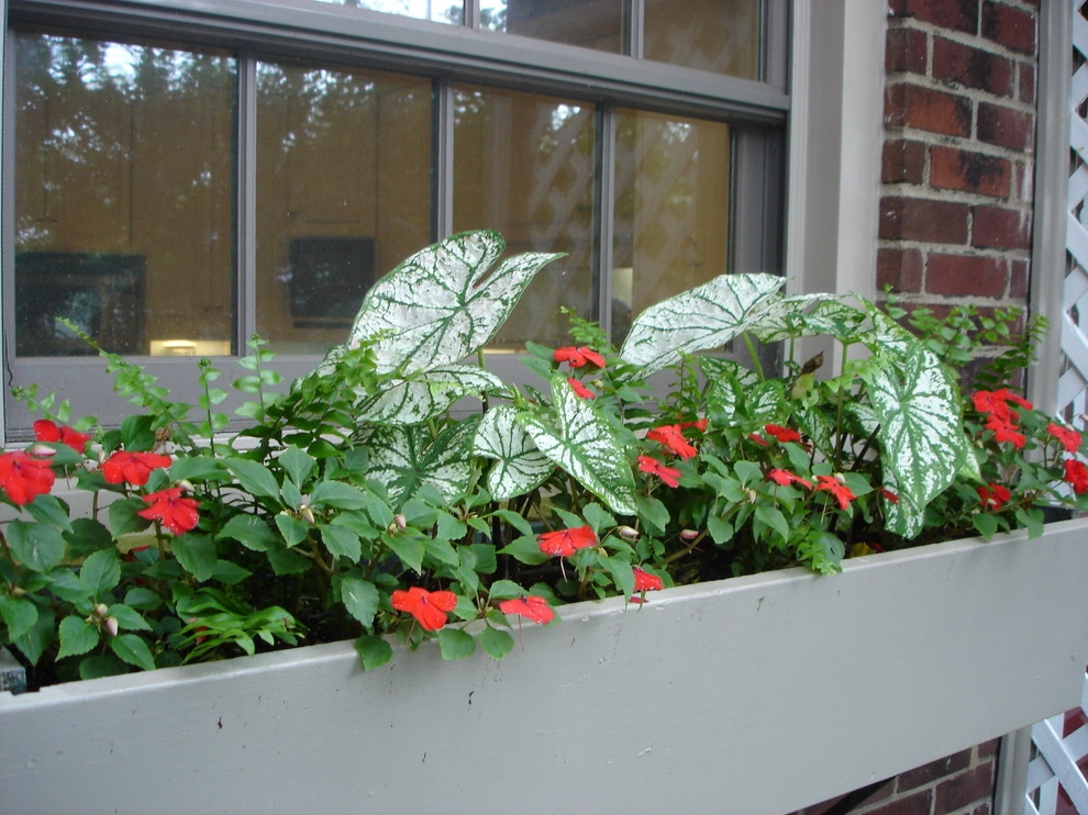 Planters and Pots by Perfect Earth Landscape LLC - Photo 33