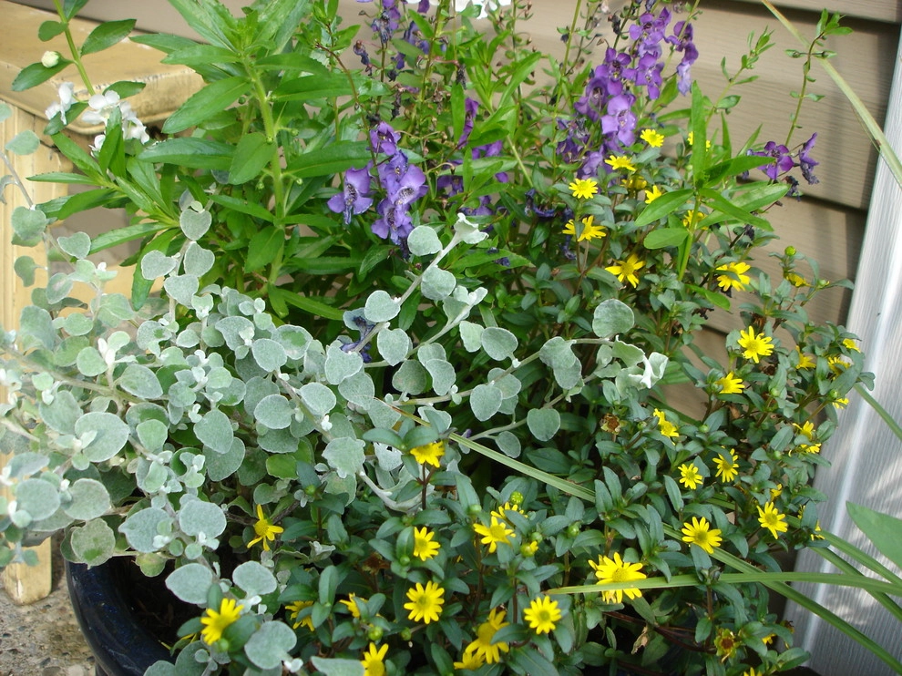 Planters and Pots by Perfect Earth Landscape LLC - Photo 44