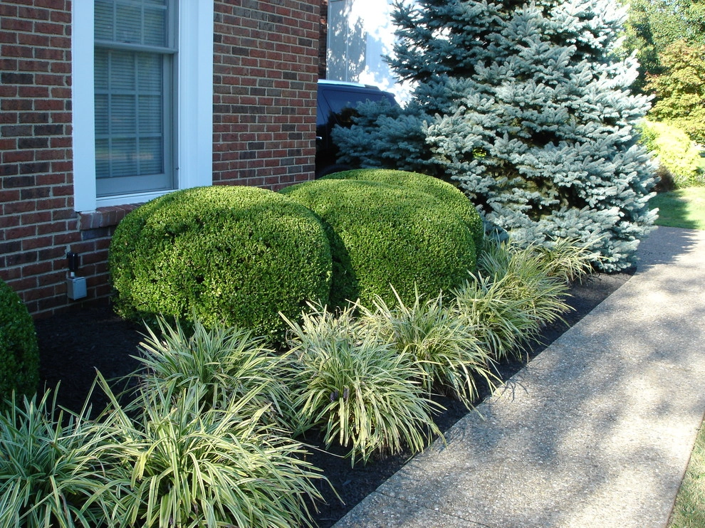Maintenance by Perfect Earth Landscape LLC - Photo 16