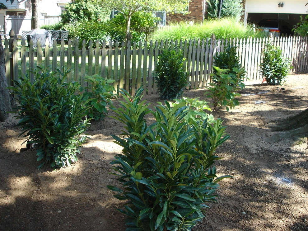 Apache Road Backyard by Perfect Earth Landscape LLC - Photo 17