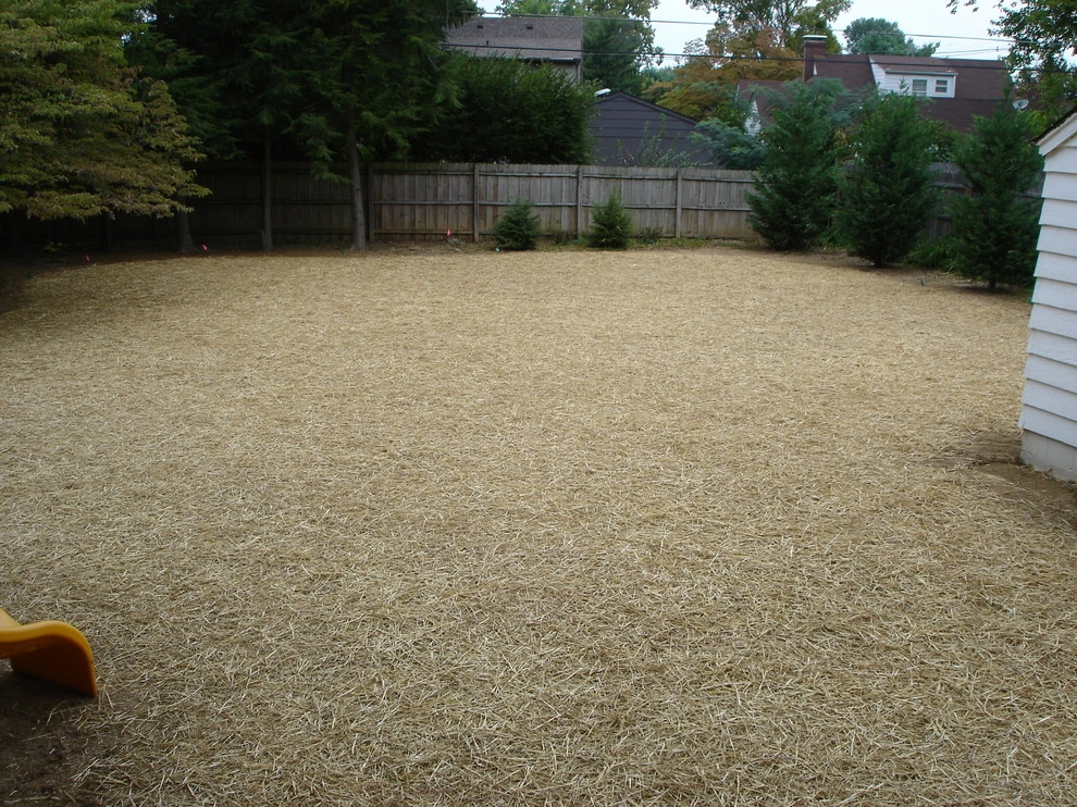 St. Matthews backyard renovation by Perfect Earth Landscape LLC - Photo 7
