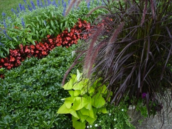 Planters and Pots by Perfect Earth Landscape LLC - Photo 22