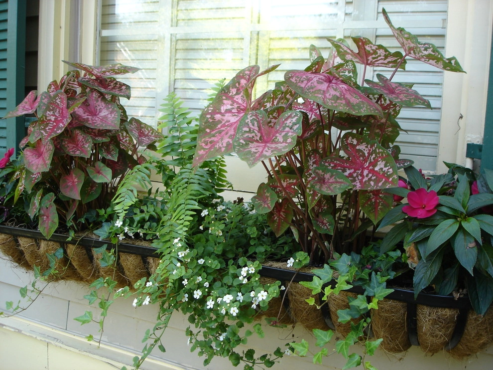 Planters and Pots by Perfect Earth Landscape LLC - Photo 12