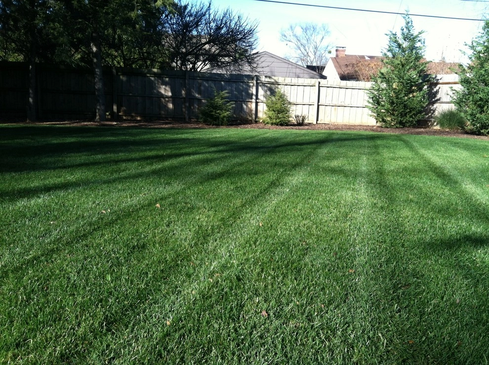 St. Matthews backyard renovation by Perfect Earth Landscape LLC - Photo 16