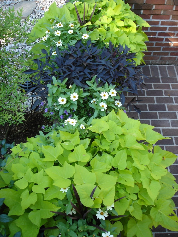Planters and Pots by Perfect Earth Landscape LLC - Photo 38