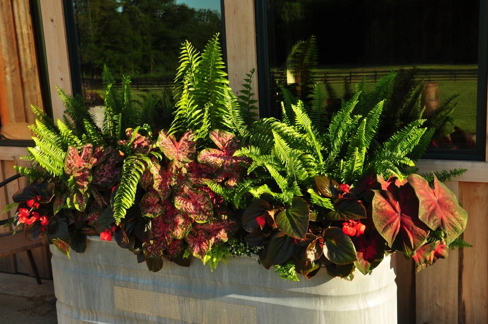 Planters and Pots by Perfect Earth Landscape LLC - Photo 9