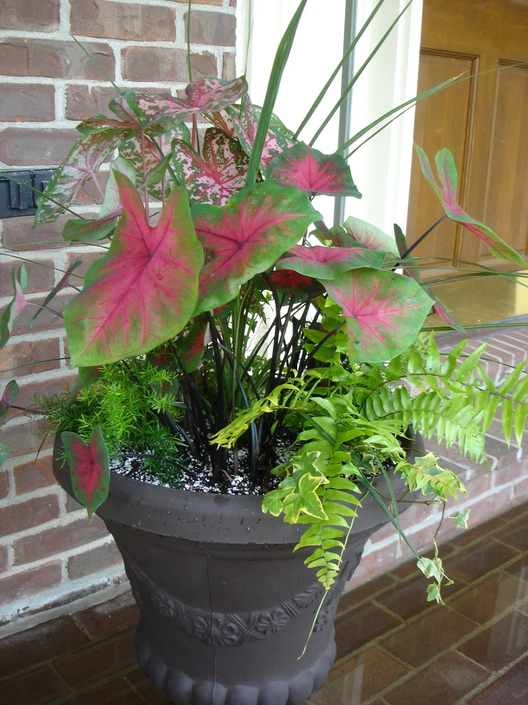 Planters and Pots by Perfect Earth Landscape LLC - Photo 30