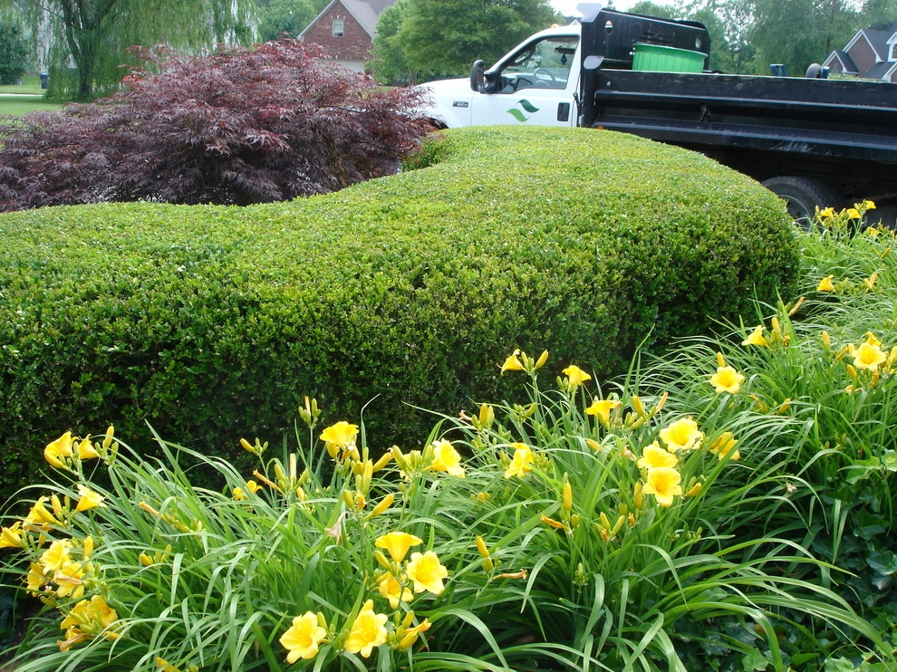 Maintenance by Perfect Earth Landscape LLC - Photo 58