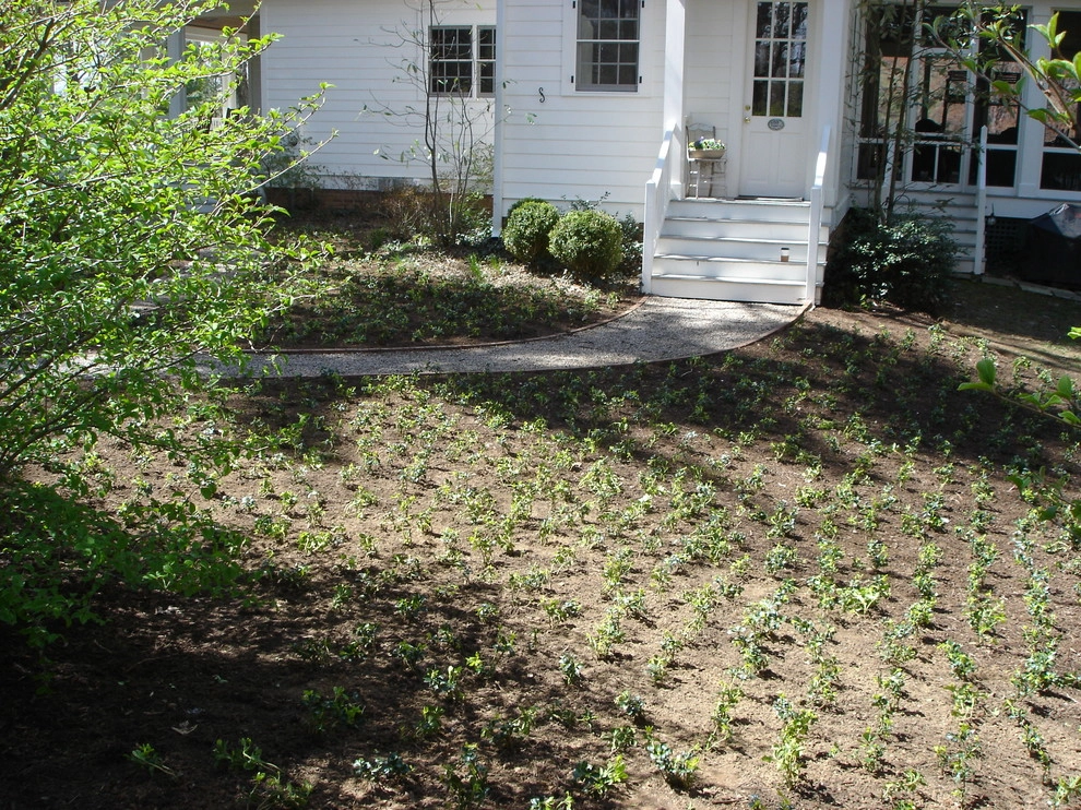 Groundcover Solutions by Perfect Earth Landscape LLC - Photo 3