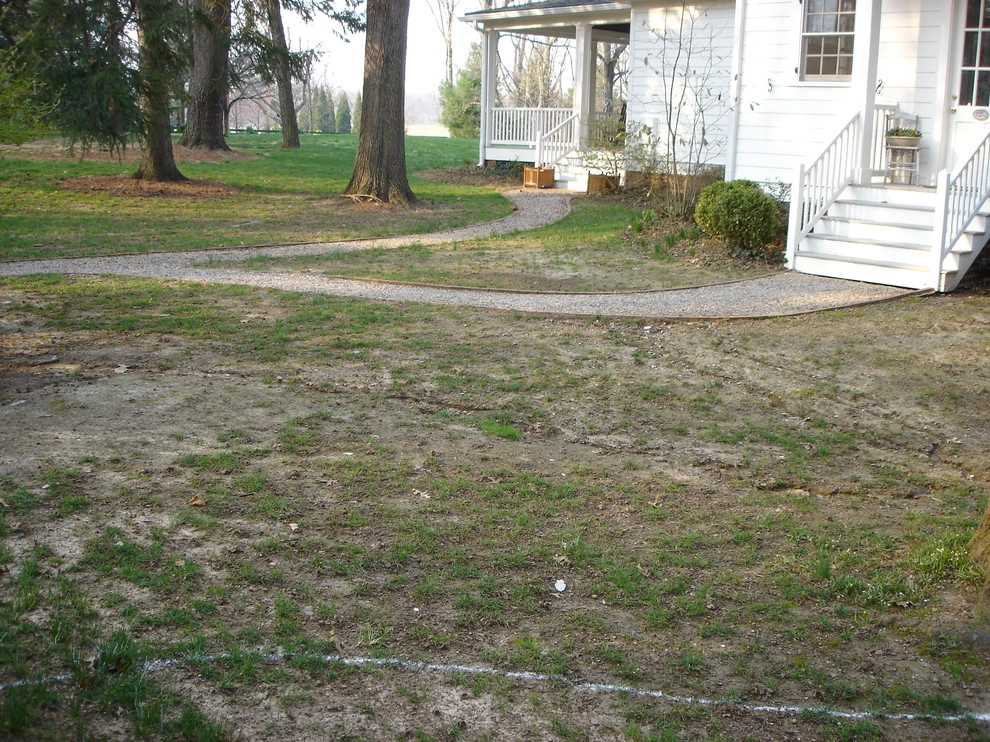 Groundcover Solutions by Perfect Earth Landscape LLC - Photo 13