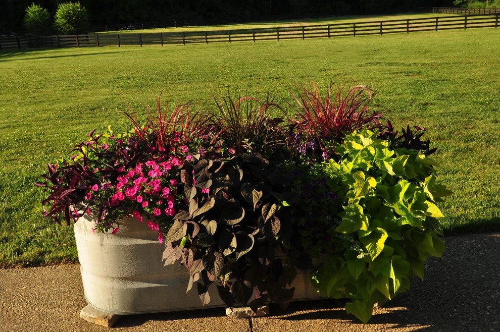 The Iron Bell by Perfect Earth Landscape LLC - Photo 20