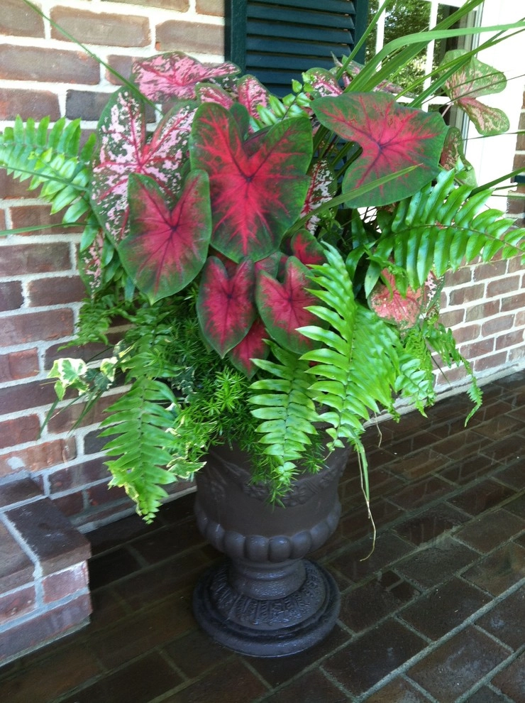 Planters and Pots by Perfect Earth Landscape LLC - Photo 39