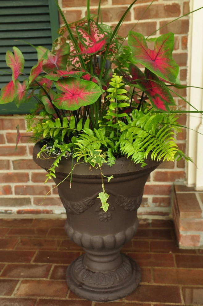 Planters and Pots by Perfect Earth Landscape LLC - Photo 16