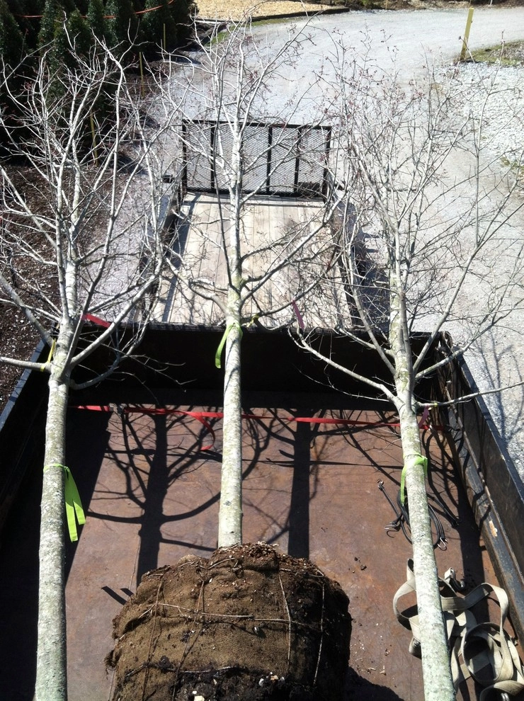 Maintenance by Perfect Earth Landscape LLC - Photo 66