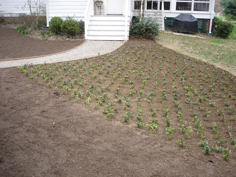 Groundcover Solutions by Perfect Earth Landscape LLC - Photo 8