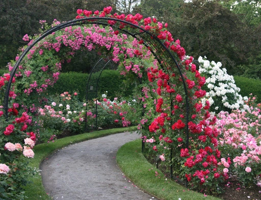 Roses Gardens by Peter Atkins And Associates., LLC - Photo 3