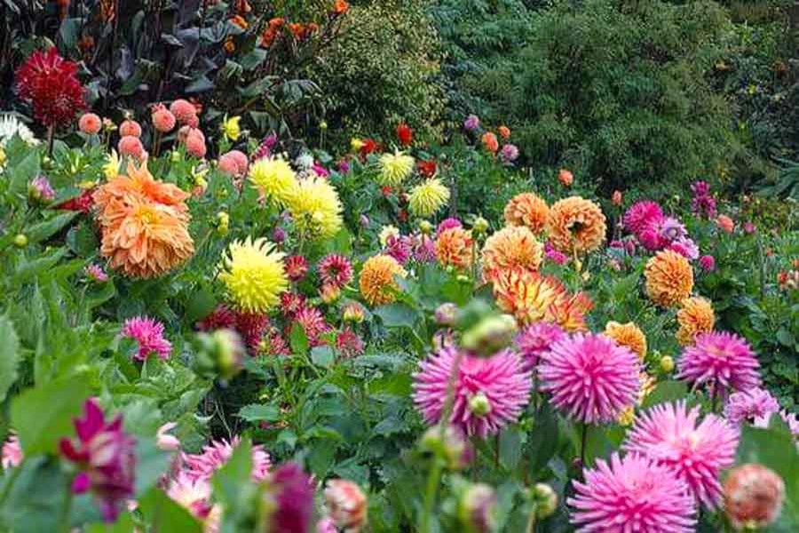 Perennial Gardens by Peter Atkins And Associates., LLC - Photo 41