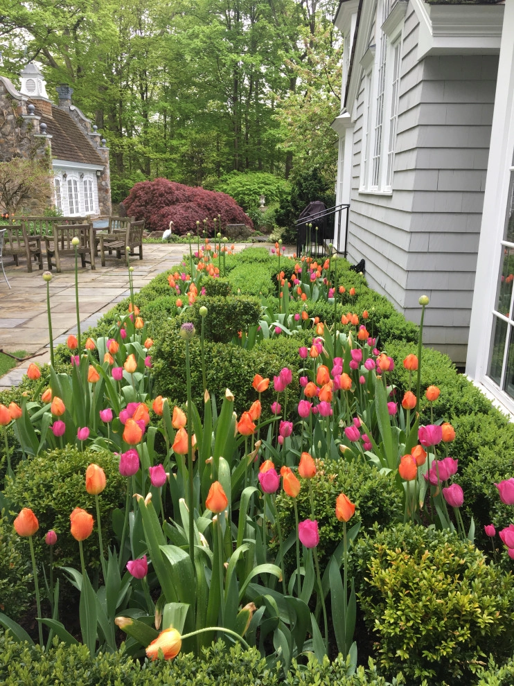 Spring Bulbs by Peter Atkins And Associates., LLC - Photo 10