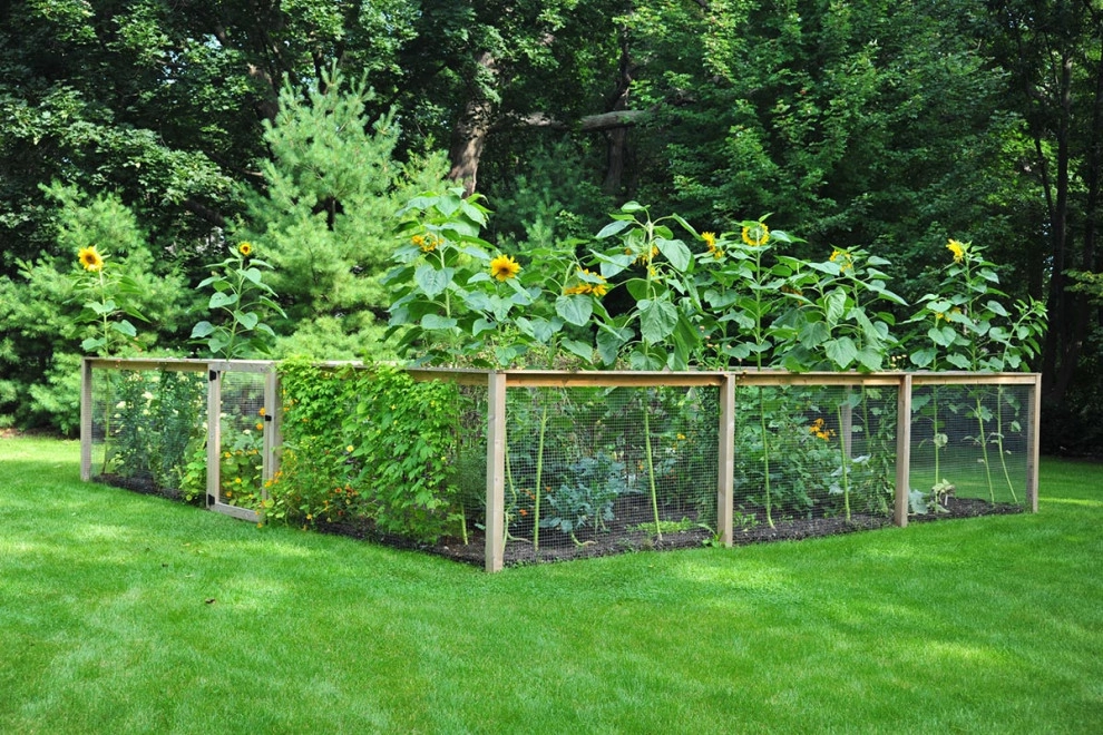 Custom Designed Fences by Peter Atkins And Associates., LLC - Photo 13