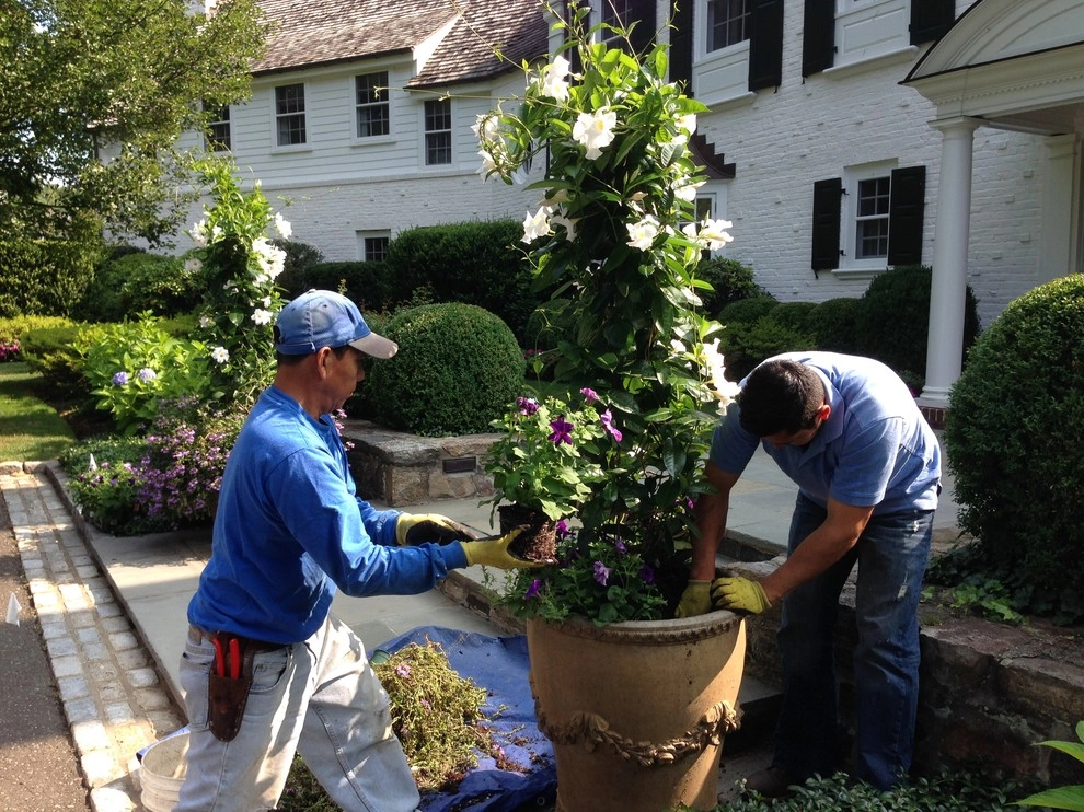 Estate Landscape Maintenace by Peter Atkins And Associates., LLC - Photo 9