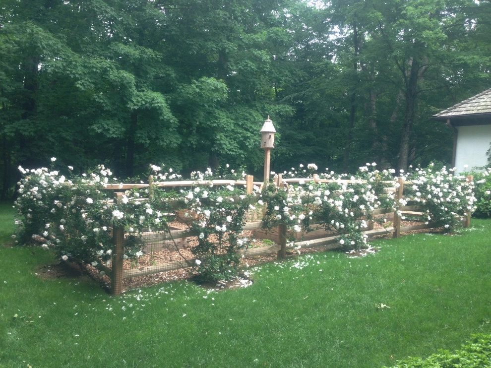 Roses Gardens by Peter Atkins And Associates., LLC - Photo 4