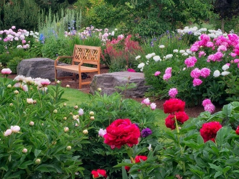 Perennial Gardens by Peter Atkins And Associates., LLC - Photo 2