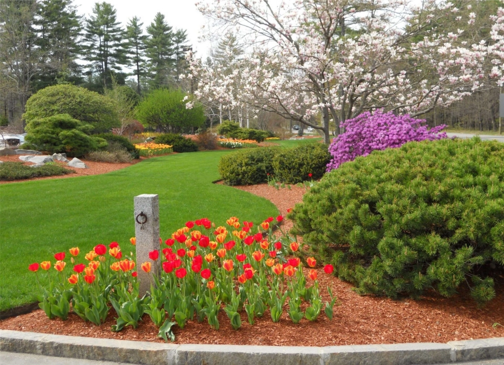 Spring Bulbs by Peter Atkins And Associates., LLC - Photo 14