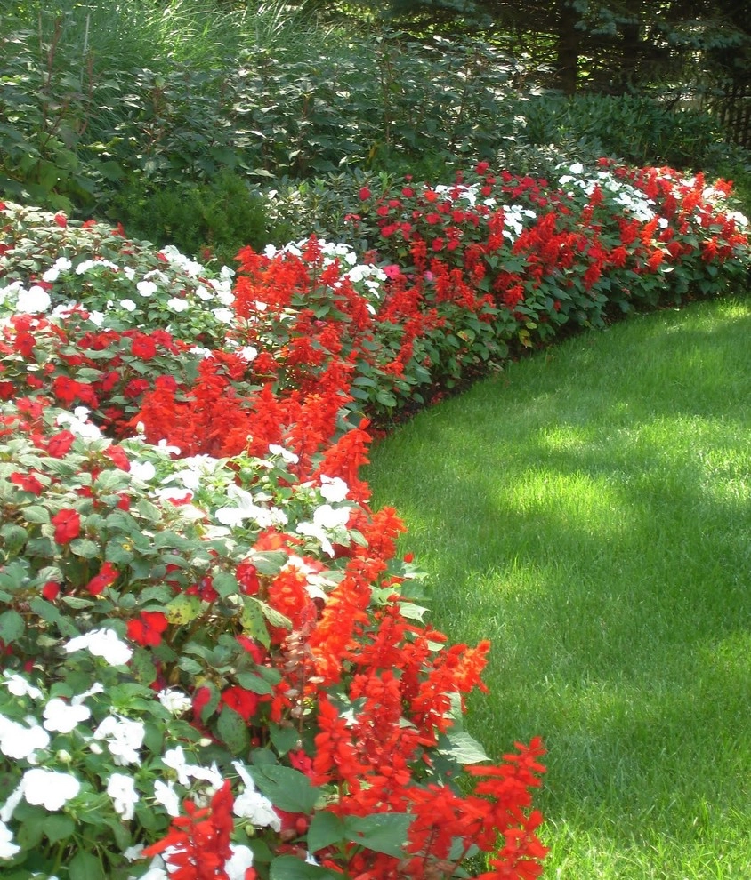 Beds and Borders - Annuals by Peter Atkins And Associates., LLC - Photo 11