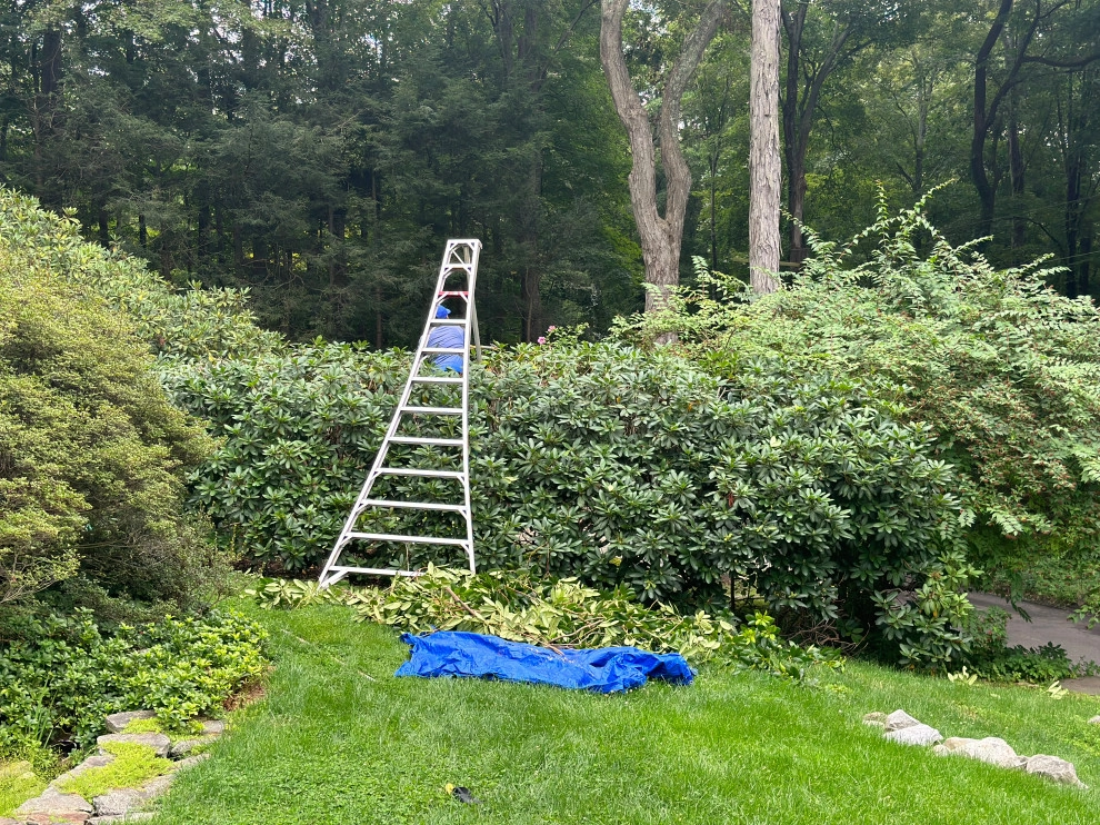Estate Landscape Maintenace by Peter Atkins And Associates., LLC - Photo 31